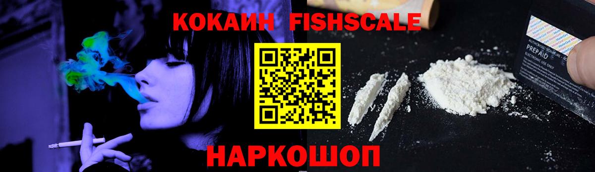 Губкинский  Cocaine VHQ  Вход с VPN  Cocaine Fish Scale 