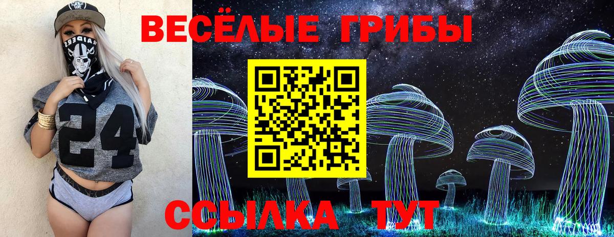 Галлюциногенные грибы Psilocybine cubensis  Вход с VPN  дарнет шоп  Губкинский 