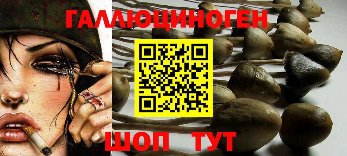 Галлюциногенные грибы мицелий Губкинский